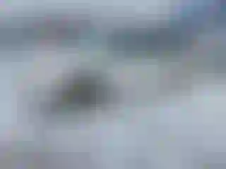 Vehicle Image- 2002 Dodge Caravan