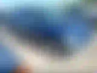 Vehicle Image- 2000 Dodge Caravan