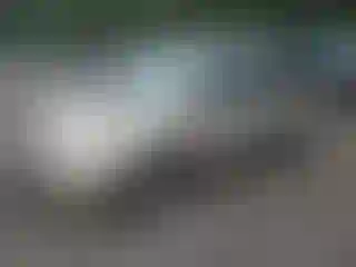 Vehicle Image- 2002 Dodge Caravan
