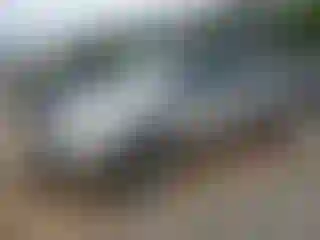 Vehicle Image- 2001 Dodge Caravan