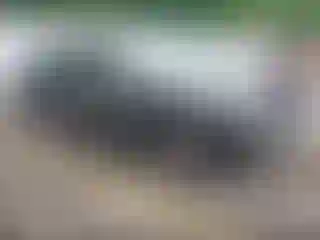 IMPORTOWO.pl
