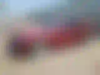 Vehicle Image- 2013 Chrysler 300