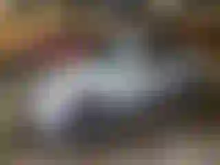 Vehicle Image- 2016 Chrysler 300