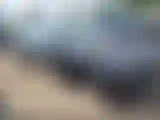 Vehicle Image- 2025 Dodge Charger