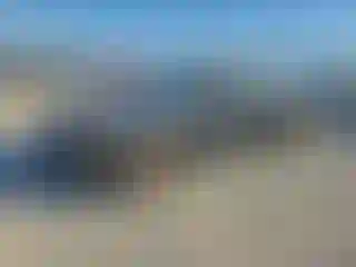 Vehicle Image- 2014 Dodge Charger