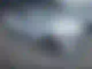 Vehicle Image- 2019 Dodge Charger