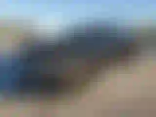 Vehicle Image- 2015 Dodge Charger