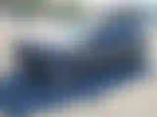 Vehicle Image- 2019 Dodge Charger