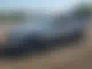 Vehicle Image- 2019 Dodge Charger