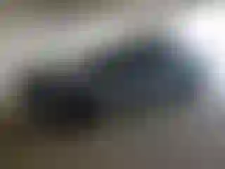 Vehicle Image- 2021 Dodge Charger