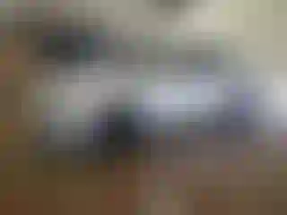 Vehicle Image- 2023 Dodge Charger