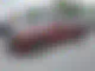 Vehicle Image- 2019 Dodge Charger
