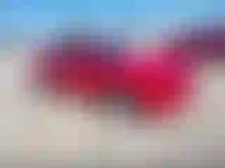 Vehicle Image- 2022 Dodge Charger