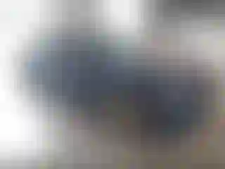 Vehicle Image- 2019 Dodge Charger