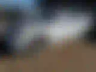 Vehicle Image- 2014 Dodge Charger