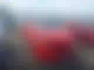 Vehicle Image- 2019 Dodge Charger