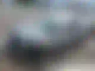 Vehicle Image- 2022 Dodge Charger