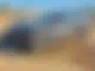 Vehicle Image- 2020 Dodge Charger