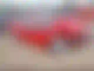 Vehicle Image- 2022 Dodge Charger