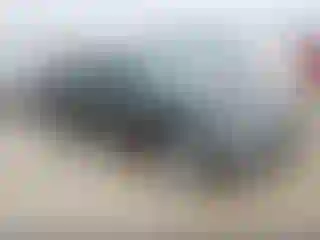 Vehicle Image- 2014 Dodge Charger