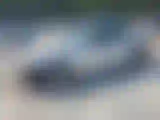 Vehicle Image- 2021 Dodge Charger