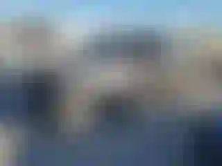 Vehicle Image- 2019 Dodge Charger