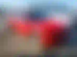 Vehicle Image- 2019 Dodge Charger