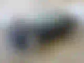 Vehicle Image- 2021 Dodge Charger