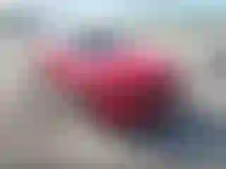 Vehicle Image- 2019 Dodge Charger