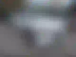 Vehicle Image- 2012 Dodge Charger