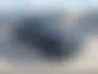 Vehicle Image- 2014 Dodge Charger