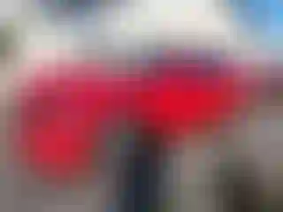 Vehicle Image- 2015 Dodge Charger