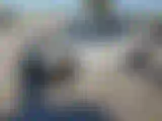 Vehicle Image- 2020 Dodge Charger