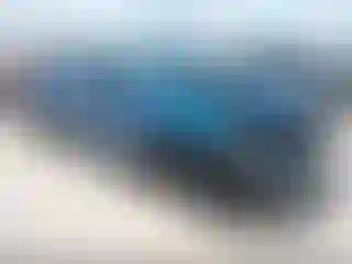 Vehicle Image- 2021 Dodge Charger