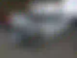 Vehicle Image- 2022 Dodge Charger