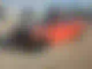 Vehicle Image- 2019 Dodge Charger