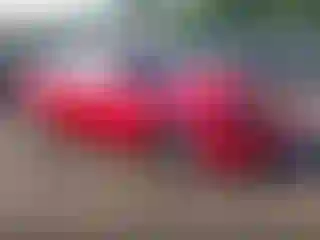 Vehicle Image- 2020 Dodge Charger