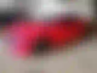 Vehicle Image- 2022 Dodge Charger
