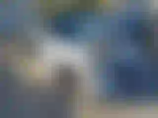 Vehicle Image- 2016 Dodge Charger