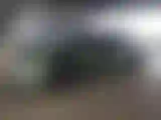 Vehicle Image- 2019 Dodge Charger