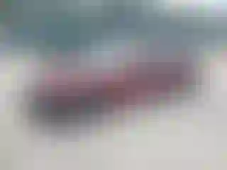 Vehicle Image- 2020 Dodge Charger