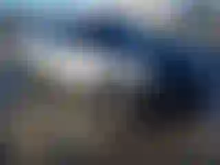 Vehicle Image- 2016 Dodge Charger