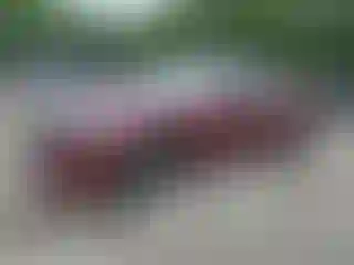 Vehicle Image- 2019 Dodge Charger