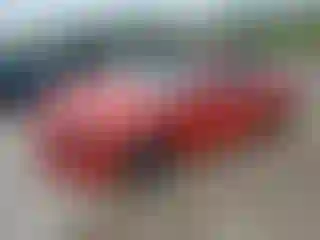 Vehicle Image- 2019 Dodge Charger
