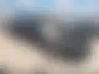 Vehicle Image- 2021 Dodge Charger