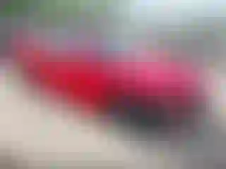 Vehicle Image- 2019 Dodge Charger
