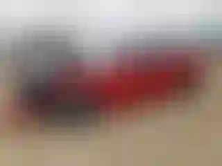 Vehicle Image- 2015 Dodge Charger