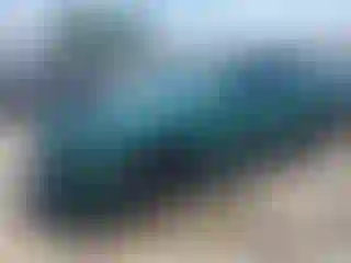 Vehicle Image- 2016 Dodge Charger