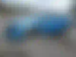 Vehicle Image- 2015 Dodge Charger