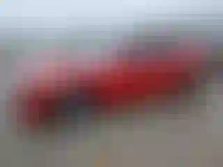 Vehicle Image- 2015 Dodge Charger